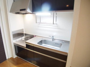 ステラⅡ 102号-4