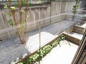 ステラⅡ 102号-12