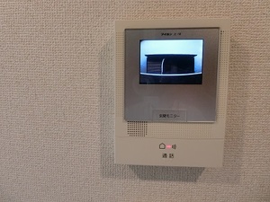 ファレノプシス亀戸 202号-11