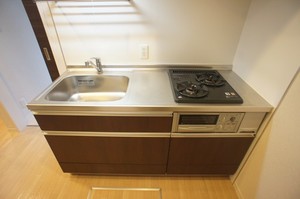 Ｐｌａｉｓｉｒ　Ｏｈｎｕｋｉ　Ａ棟 103号-7