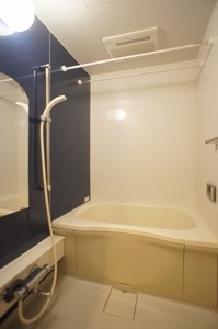 Ｐｌａｉｓｉｒ　Ｏｈｎｕｋｉ　Ａ棟 103号-9