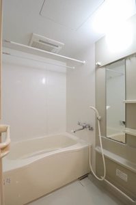 メゾン北品川 307号-4