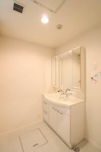 メゾン北品川 307号-5