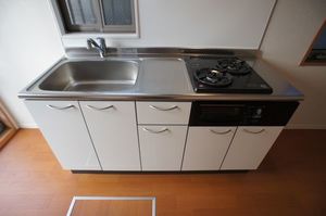 サザンカ 101号-3