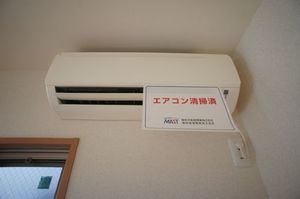 サザンカ 101号-5