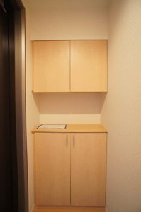 コンシエンシア 207号-10