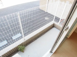 セレッソB 102号-11