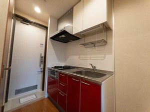 ルミエール 203号-5