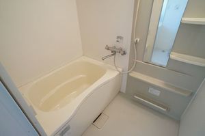 Ｌｏｔｕｓ　Ｎｏｖｅ 203号-8