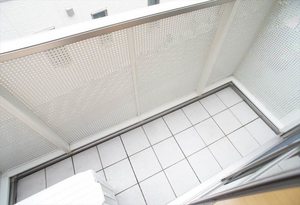 アプリコット　アレイ 202号-10