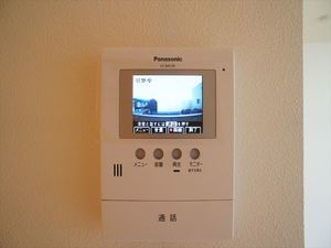 アプリコット　アレイ 202号-11