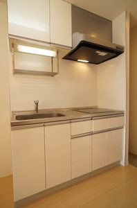 グレース東雪谷 201号-8