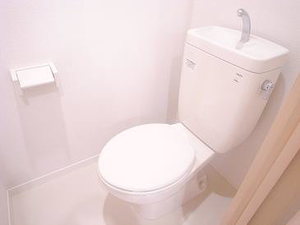 ｍａｉｓｏｎ　ｃｅｌｅｓｔｅ（メゾンセレステ） 203号-6