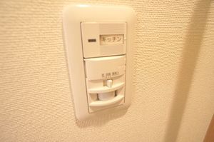 Grande Maison AYA 206号-9