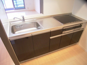 サンリバーテ国領Ⅰ 205号-8