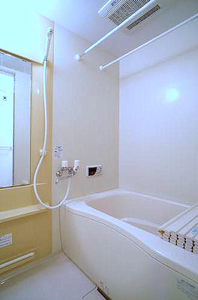 ローヤルメゾン 302号-10