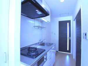 フォンテ・ナツ 202号-8