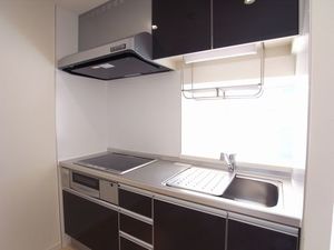 Ｓｏｌｅｉｌ　Ｎａｇｏｍｉ 203号-7