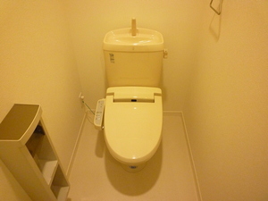 コモンドールⅡ 302号-8