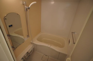 Ｓｈａ　Ｍａｉｓｏｎ　Ｎａｄｅｓｈｉｋｏ 102号-9