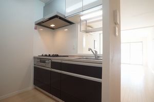 シャーメゾン長島 201号-2