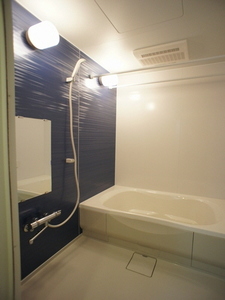 Ｄｅａｒ　Ｃｏｕｒｔ 203号-4