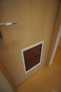 ブリーズガーデン経堂 203号-8