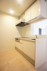 シャーメゾン志村坂上 301号-4