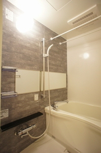 サンテラス代々木 303号-8