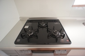 カームメゾン 202号-8