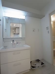 Ｂｌａｎｃｈｅｎｅｉｇｅ　Ｂ 303号-9