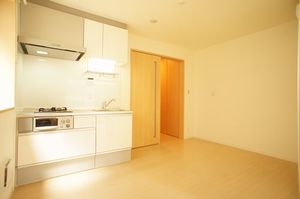 ワイズガーデン浅草 302号-2