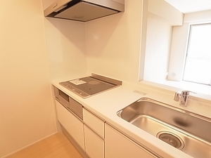 ブルームーン 102号-9