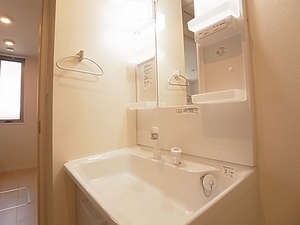 シャーメゾンひばりが丘 301号-9