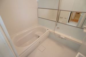 シャーメゾン　コルヌイエ 202号-10