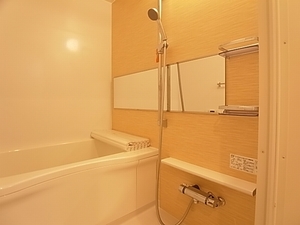 Ｂｌａｎｃｈｅｎｅｉｇｅ　Ａ 203号-10