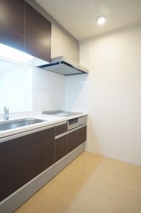 Lumiere新宿 303号-4