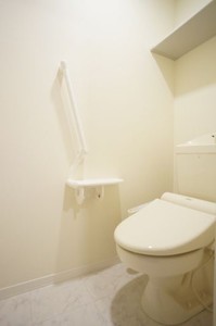 Lumiere新宿 303号-9