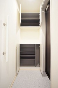 Lumiere新宿 303号-11