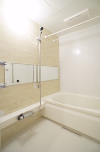 Ｂｒｉｌｌａｎｔｅ　Ｖｉｔａ 103号-10