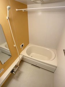 Ｈａｌｅ　有明 101号-8