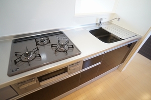 Ｃｅｒｉｓｉｅｒ　桜丘 203号-9