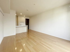 Ｍａｉｓｏｎ　Ｐａｒｋ　Ｌａｎｅ 203号-3