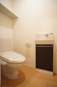 Ｍａｉｓｏｎ　Ｐａｒｋ　Ｌａｎｅ 205号-11