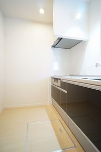 ヴィラデルソル高円寺北 303号-4