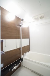 レフィアント シダー 赤坂 203号-5