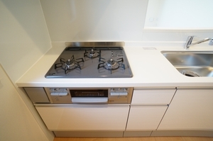 Ｂｅｌｌｅｚｚａ 206号-11