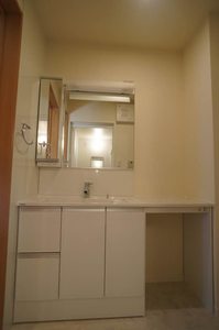 ペルシーモ学芸大学 301号-11