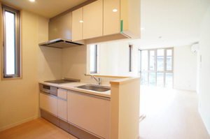 ヴォーヌング平町1 201号-2