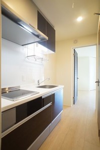 Ｐｌｕｍｉｅｒ高樹町 301号-11